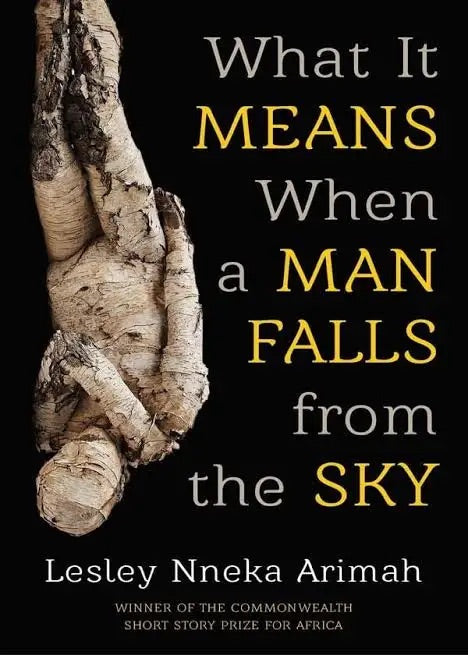 WHAT IT MEANS WHEN A MAN FALLS FROM THE SKY BY LESLEY NNEKA ARIMAH