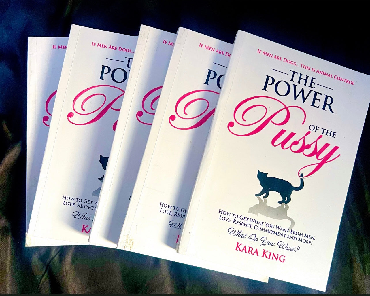 THE POWER OF THE PUSSY BY KARA KING